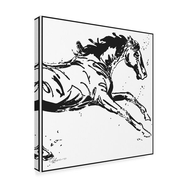 Sher Sester 'Black Scribble Horse' Canvas Art,35x35